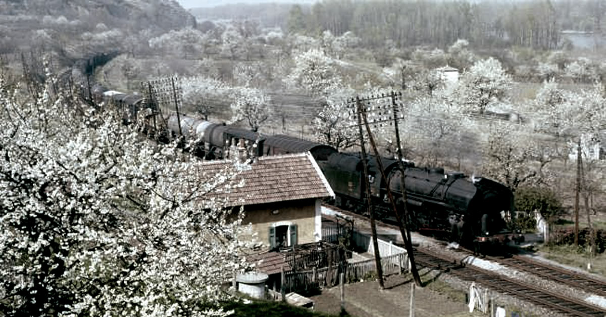 Les vapeurs en couleurs 1950-1974