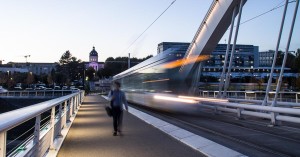 (c) Anthony Mangeard