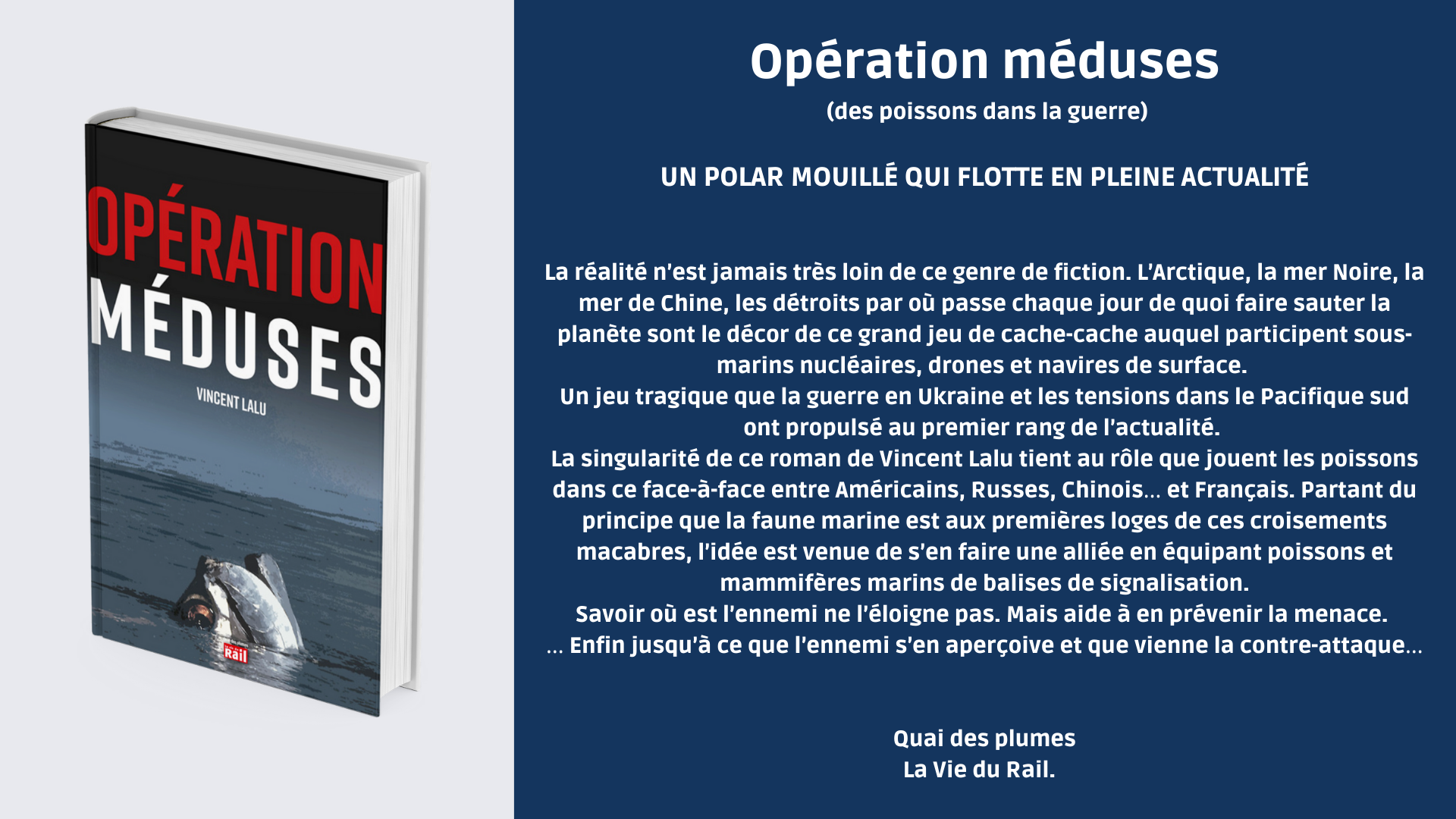 Opération méduses