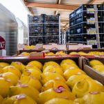 © JC. Milhhet. Fret SNCF