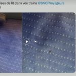 © prise d'écran X (anciennementTwitter))