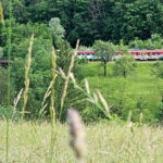 Un voyage dans le temps sur la ligne de Bohinj en Slovénie
