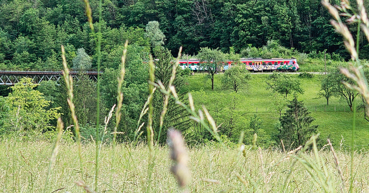 Arte. Un voyage dans le temps sur la ligne de Bohinj en Slovénie