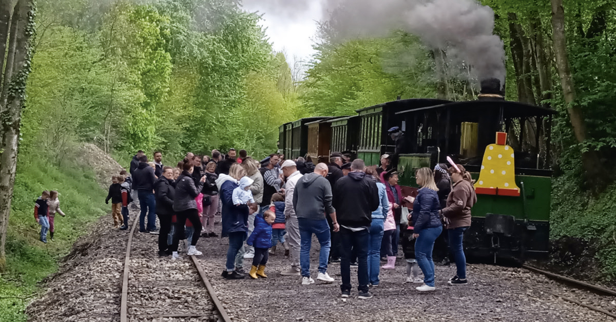 MTVS. Pour Pâques, une chasse aux oeufs et au trésor